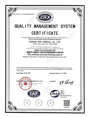 ISO9001(英文)