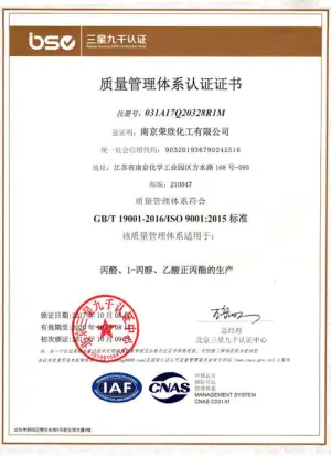 ISO9001(中文)