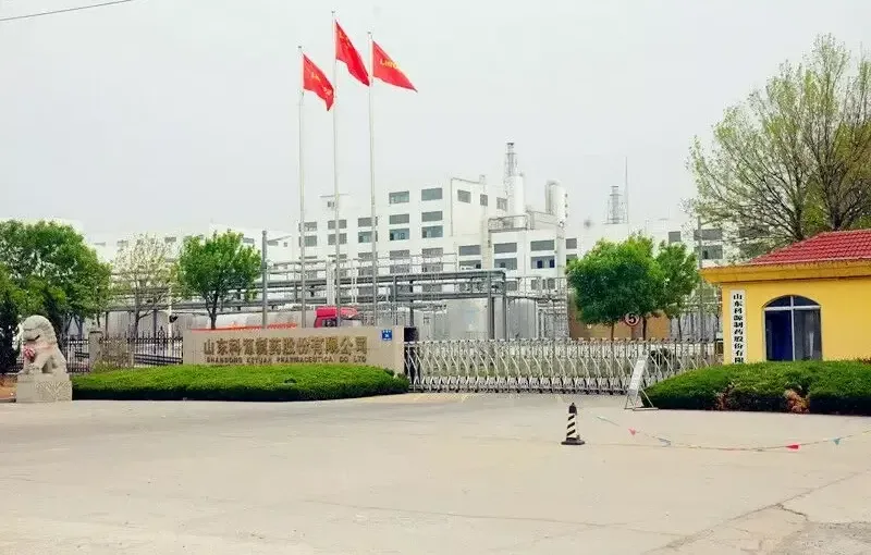 厂房大门