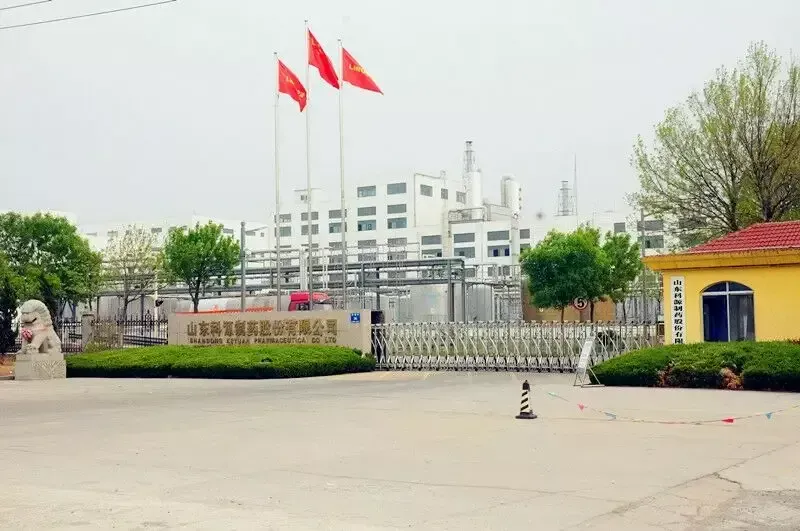 厂房大门