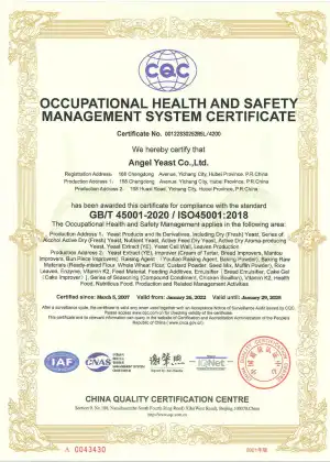 ISO45001