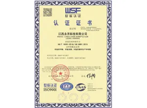 ISO9001(中文)