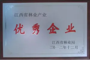 荣誉证书