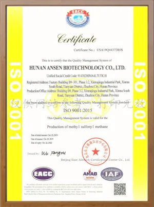 ISO9001(英文)