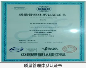 ISO9001(中文)