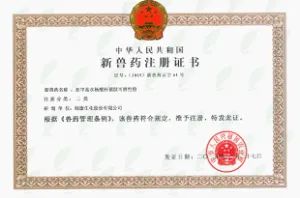 其他证书