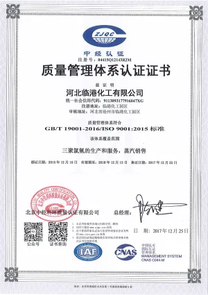 ISO9001(中文)