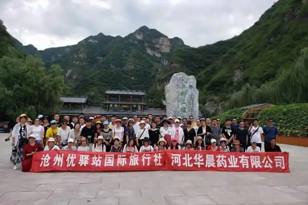 公司活动