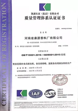 ISO9001(中文)