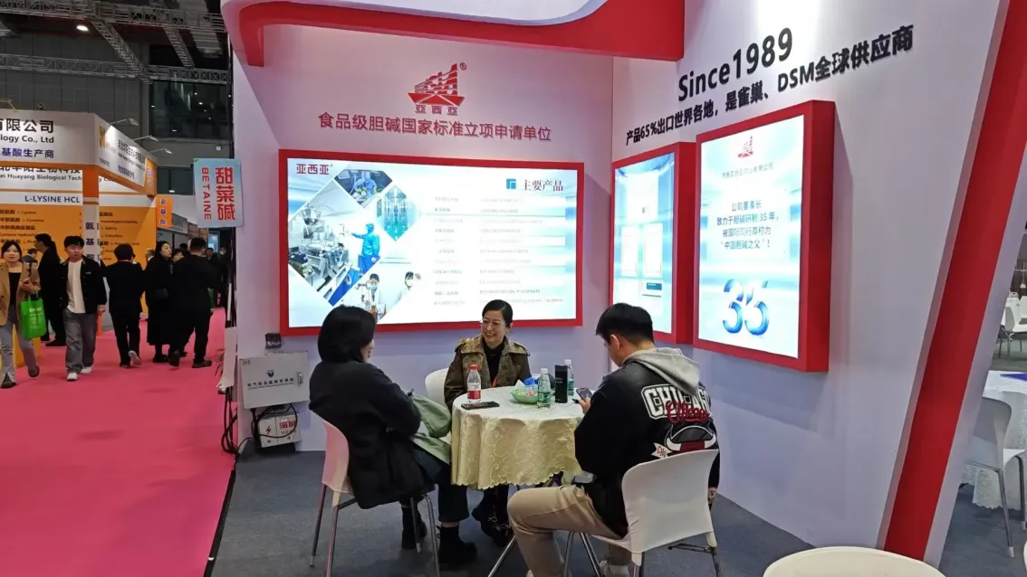 公司参展