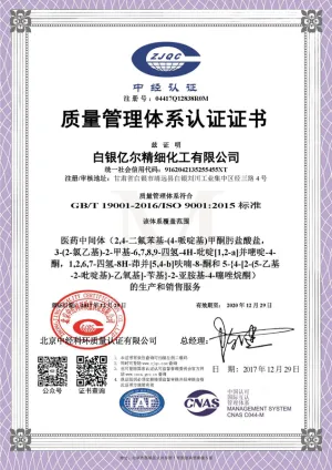 ISO9001(中文)