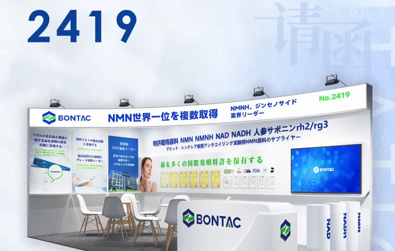 公司参展