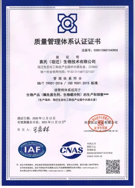 ISO9001(中文)