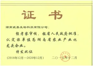 荣誉证书
