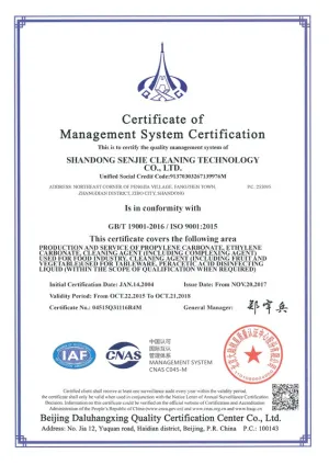 ISO9001(英文)
