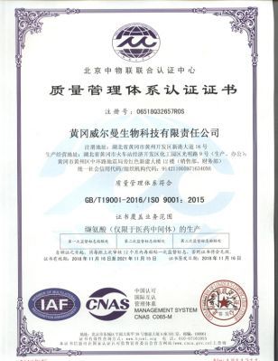 ISO9001(中文)