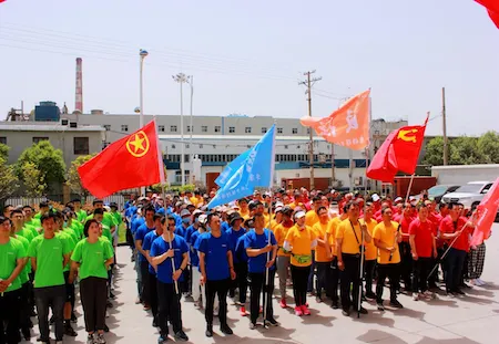 公司活动