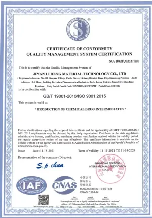 ISO9001(英文)