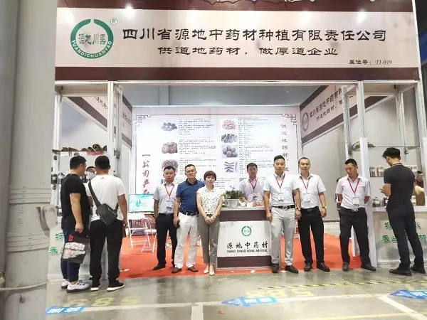 公司参展