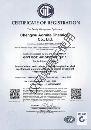 ISO9001(英文)