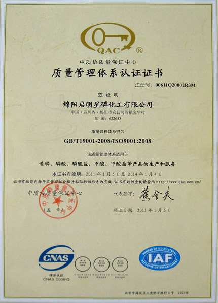 ISO9001(中文)