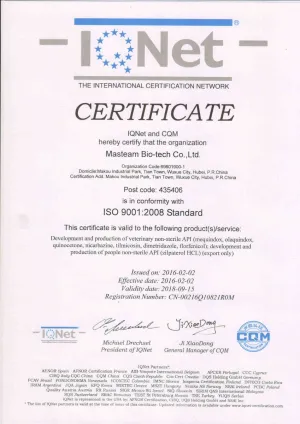 ISO9001(英文)