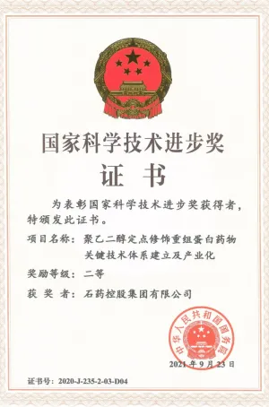 荣誉证书