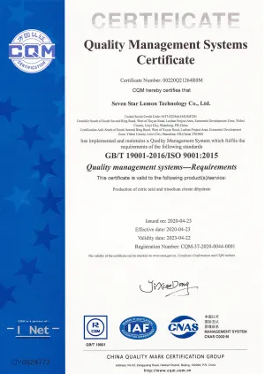 ISO9001(英文)