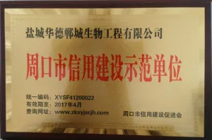 荣誉证书