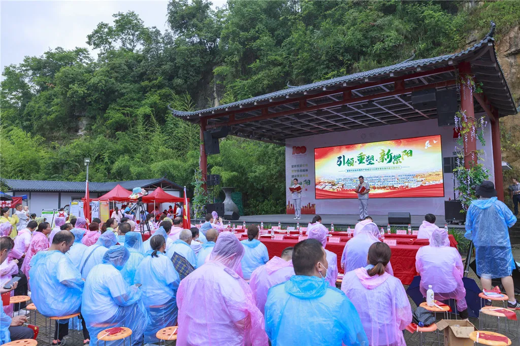 公司活动