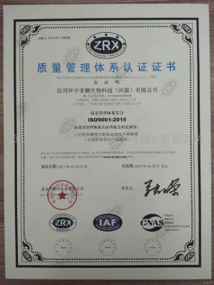 ISO9001(中文)