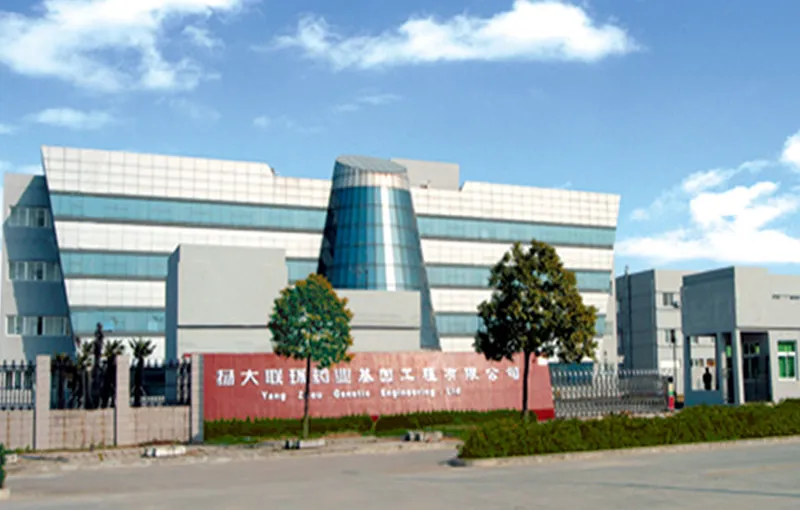 厂房大门