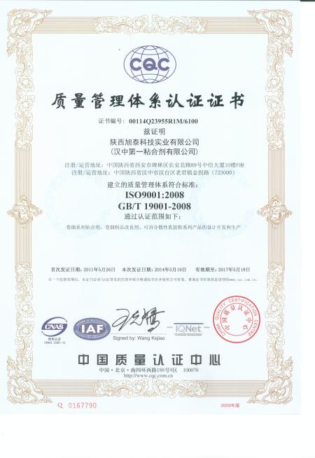 ISO9001(中文)