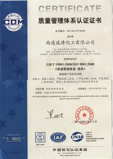 ISO9001(英文)