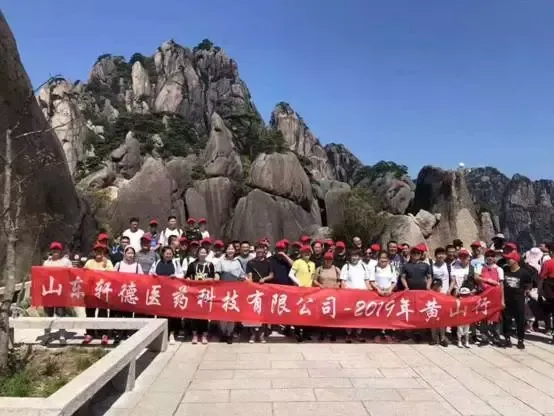 公司活动