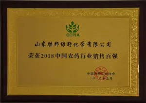 荣誉证书