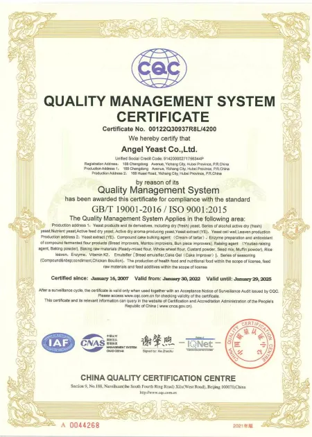 ISO9001(英文)