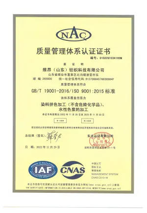 ISO9001(中文)