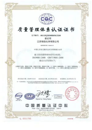 ISO9001(英文)