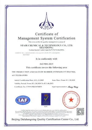 ISO9001(英文)