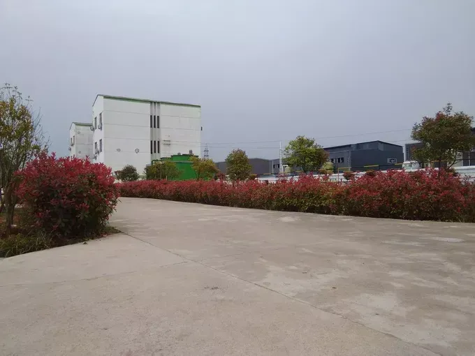 其他图片