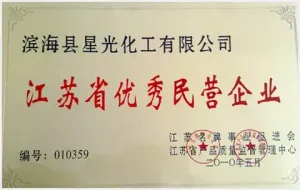 荣誉证书