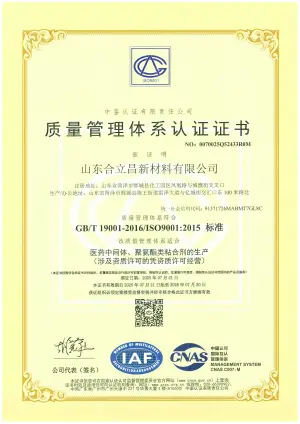 ISO9001(中文)