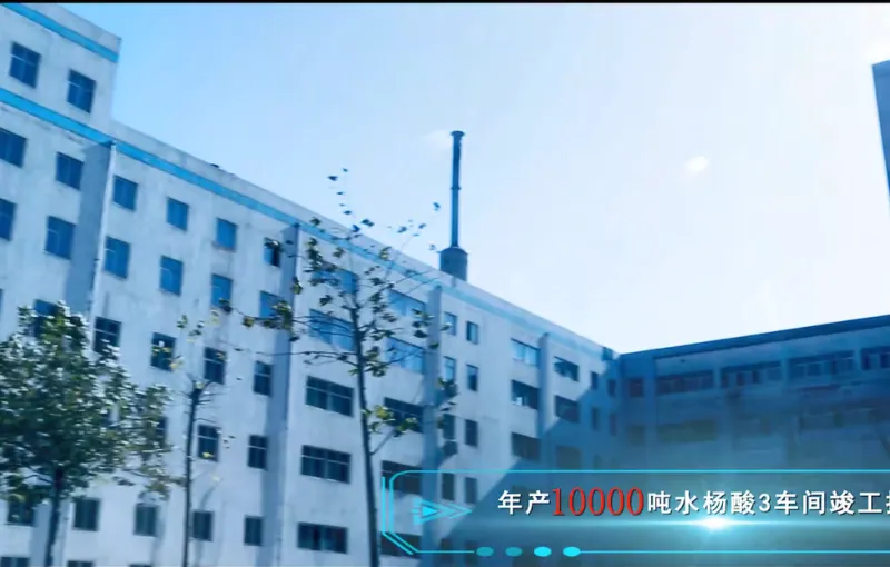办公区域