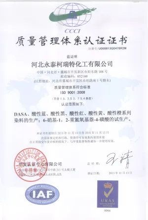ISO9001(中文)