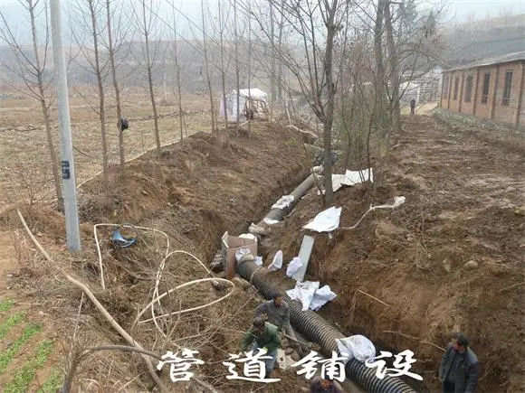 其他图片