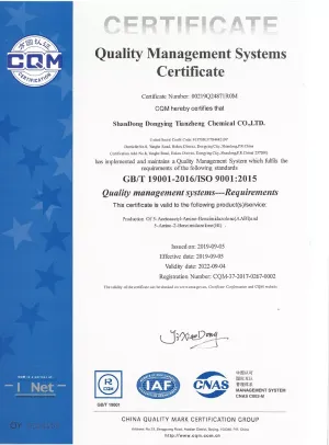 ISO9001(英文)