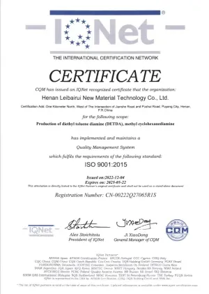 ISO9001(英文)