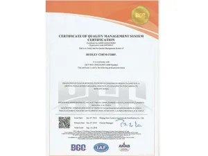 ISO9001(英文)