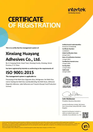 ISO9001(英文)